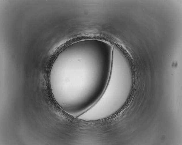 X0000090721304200707201005