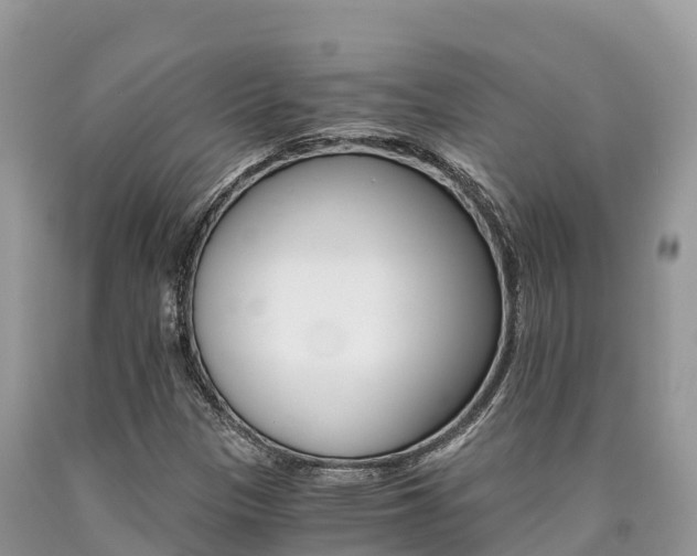 X0000090721305200707201005