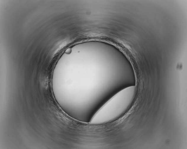 X0000090721306200707201005