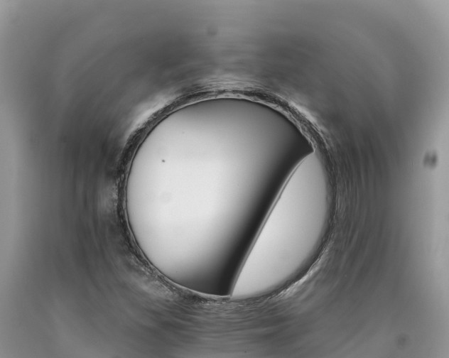 X0000090721309200707201005