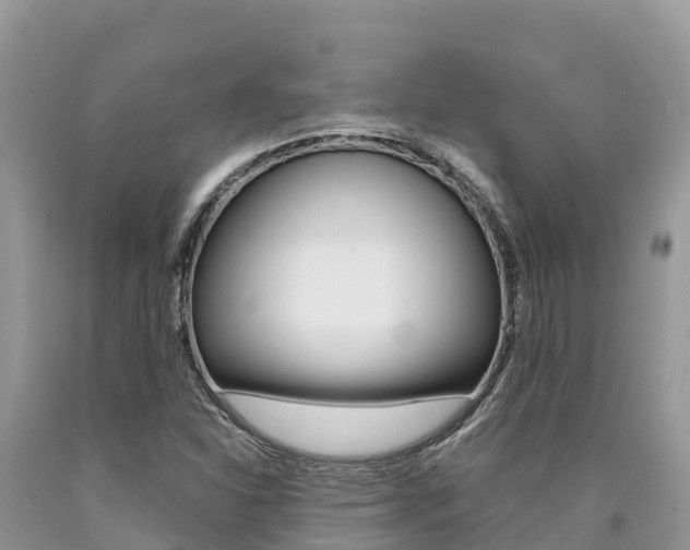 X0000090721310200707201005