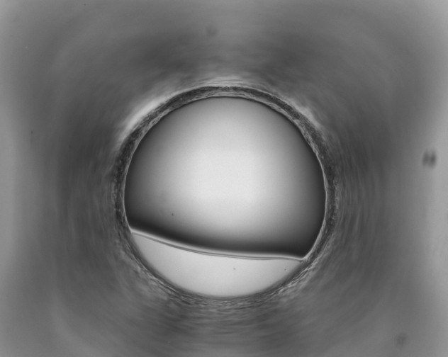 X0000090721311200707201005
