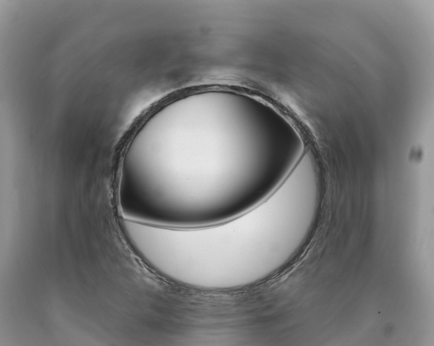 X0000090721312200707201005
