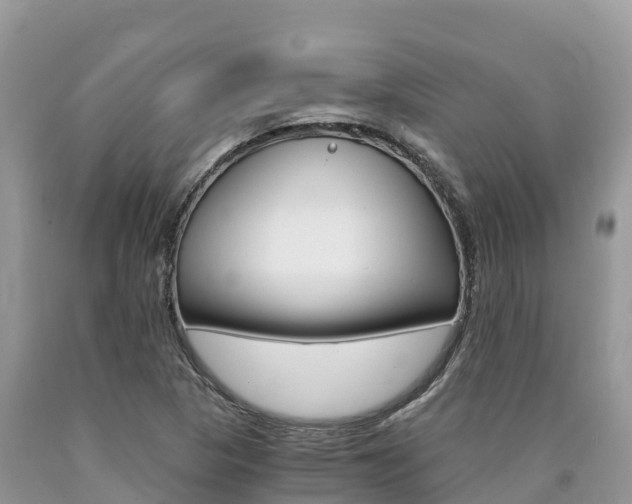 X0000090721313200707201005