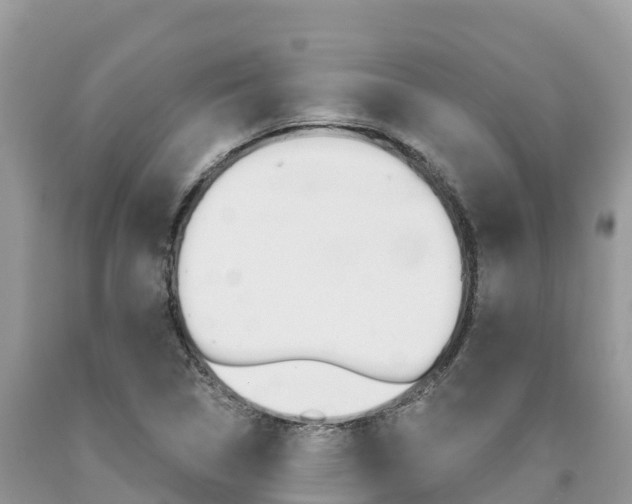 X0000090721314200707201005