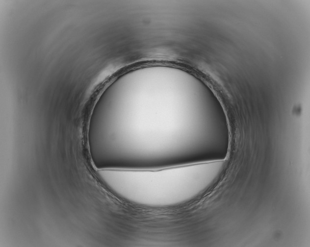 X0000090721315200707201005