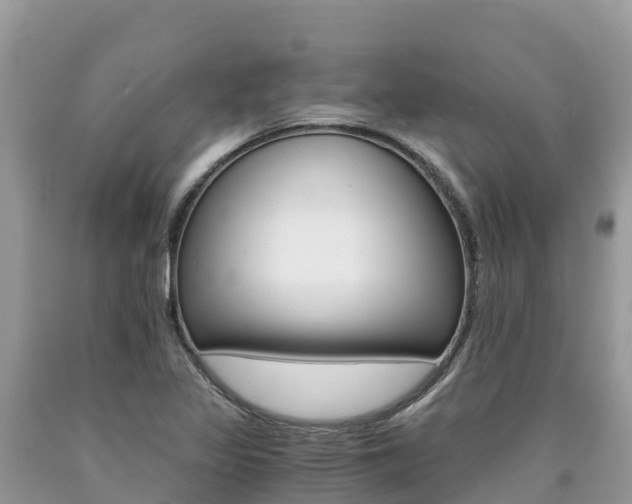 X0000090721317200707201005