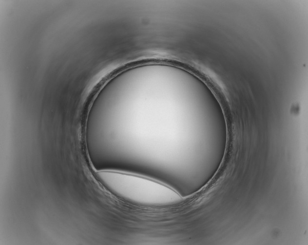 X0000090721318200707201005