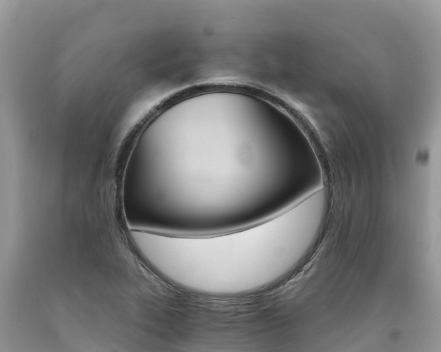 X0000090721319200707201005