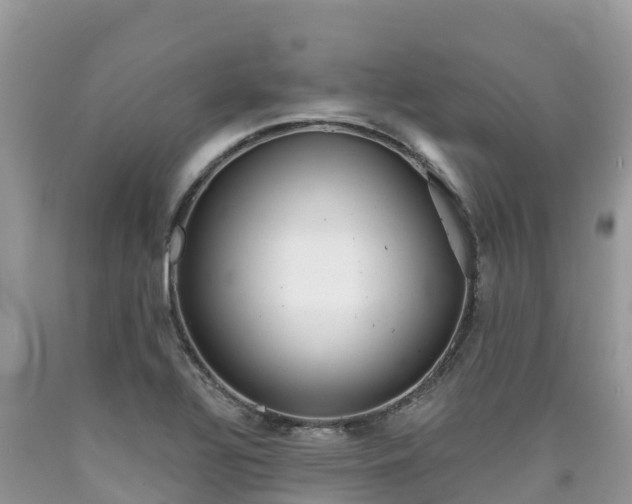 X0000090721320200707201005