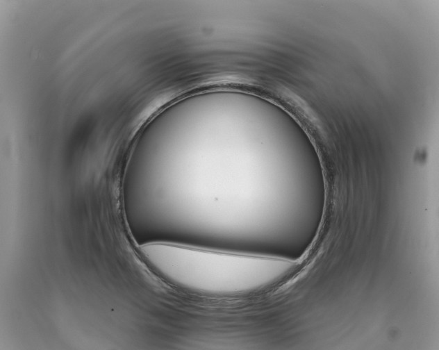 X0000090721321200707201005