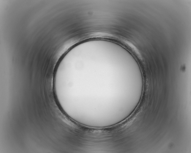 X0000090721322200707201005