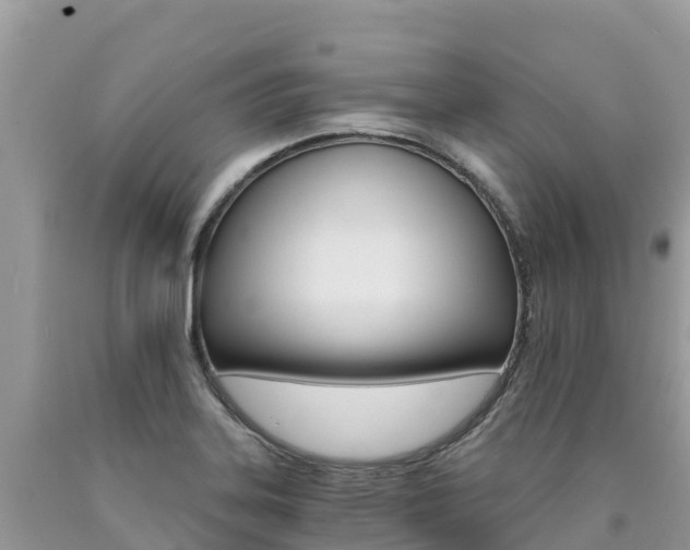 X0000090721323200707201005