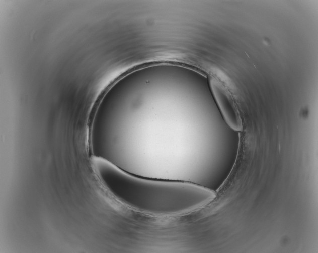 X0000090721324200707201005