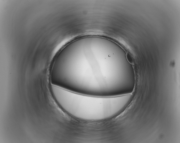 X0000090721325200707201005