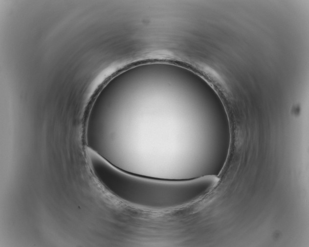 X0000090721326200707201005