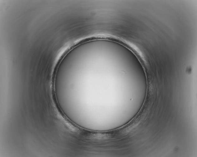 X0000090721327200707201005