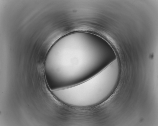 X0000090721329200707201005