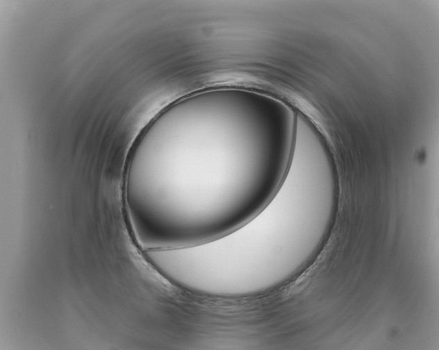 X0000090721330200707201005