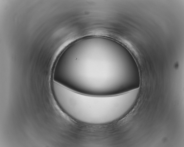 X0000090721331200707201005