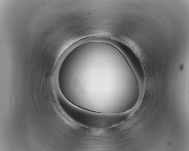 X0000090721332200707201005
