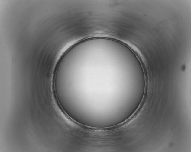 X0000090721333200707201005