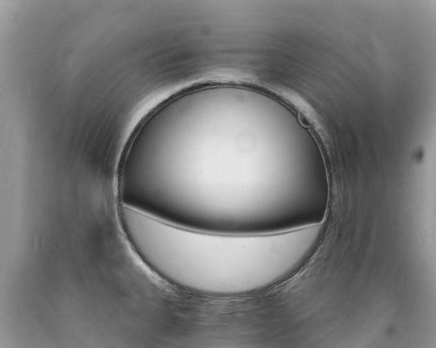 X0000090721335200707201005