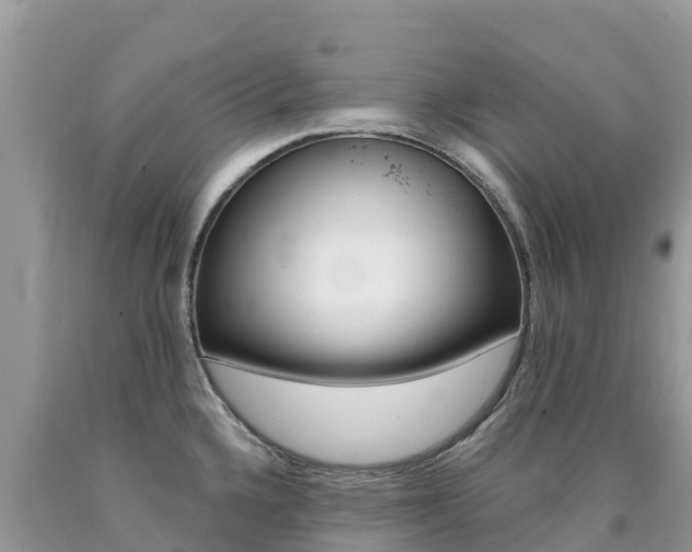X0000090721336200707201005