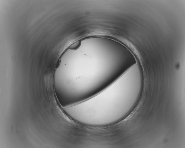 X0000090721337200707201005