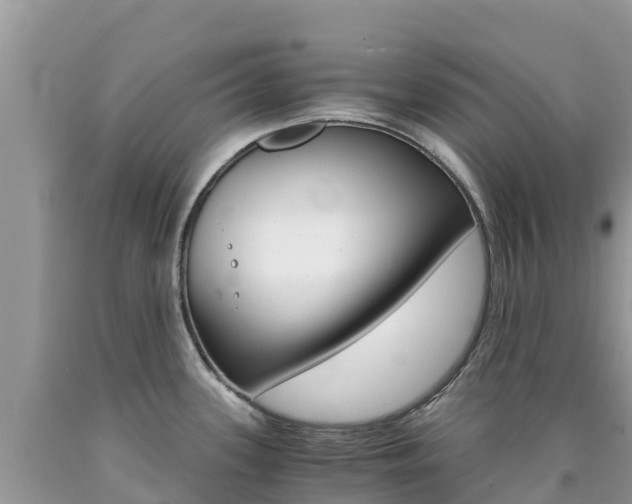 X0000090721339200707201005