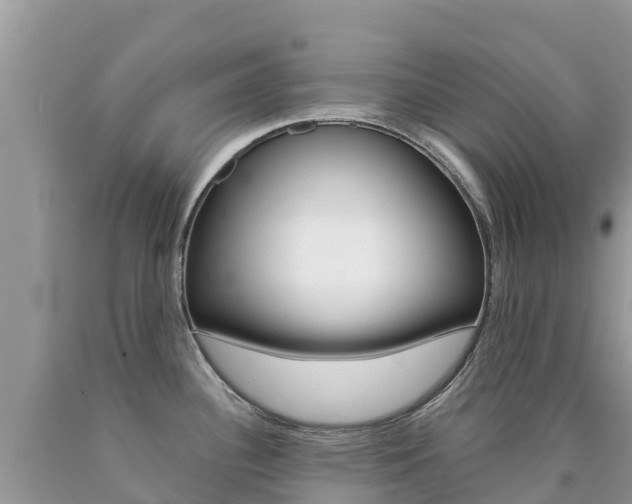 X0000090721340200707201005