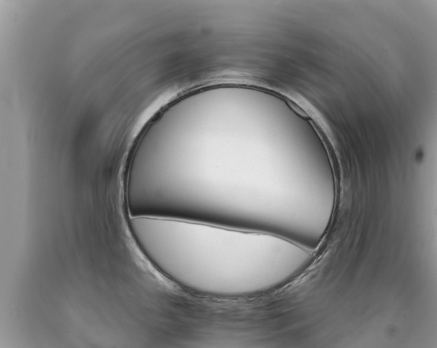 X0000090721341200707201005
