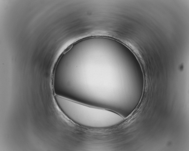 X0000090721342200707201005