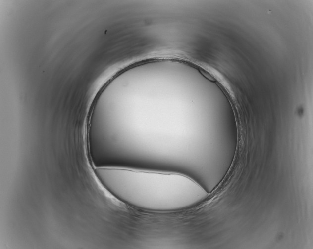 X0000090721343200707201005
