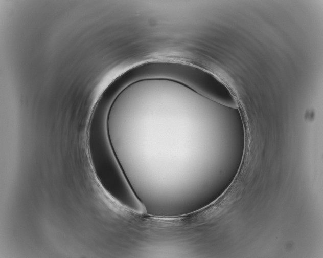 X0000090721344200707201005