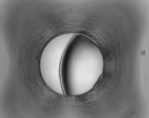 X0000090721345200707201005