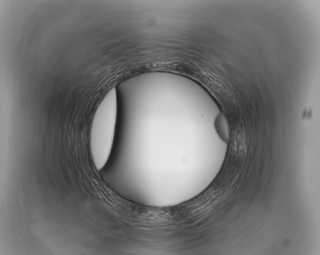 X0000090721346200707201005