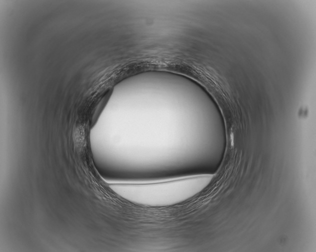 X0000090721347200707201005
