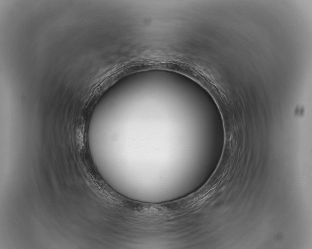 X0000090721348200707201005