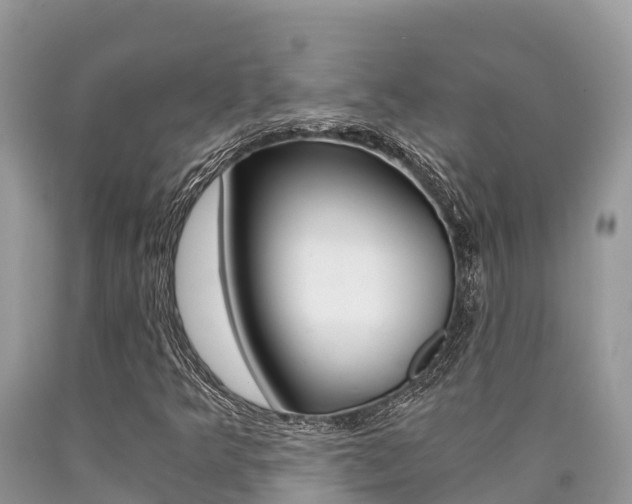 X0000090721349200707201005