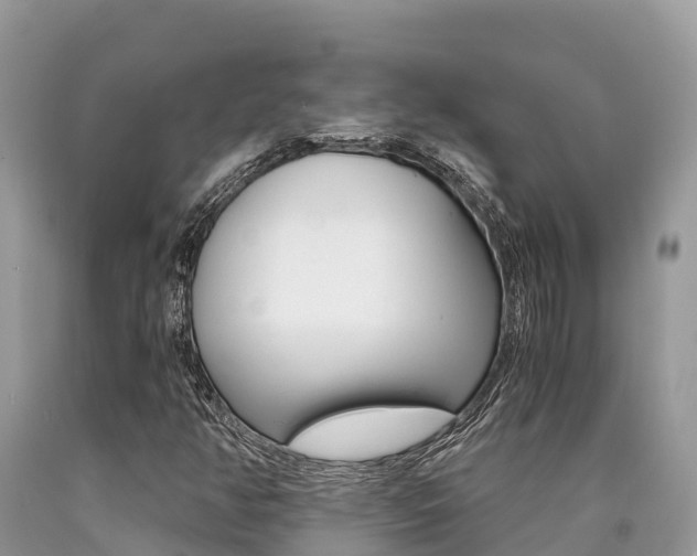 X0000090721350200707201005
