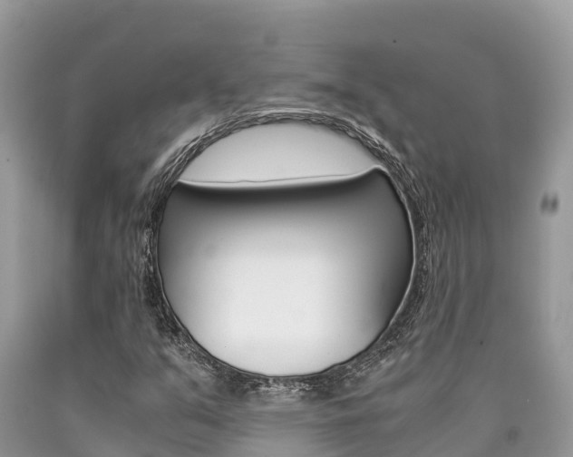 X0000090721351200707201005