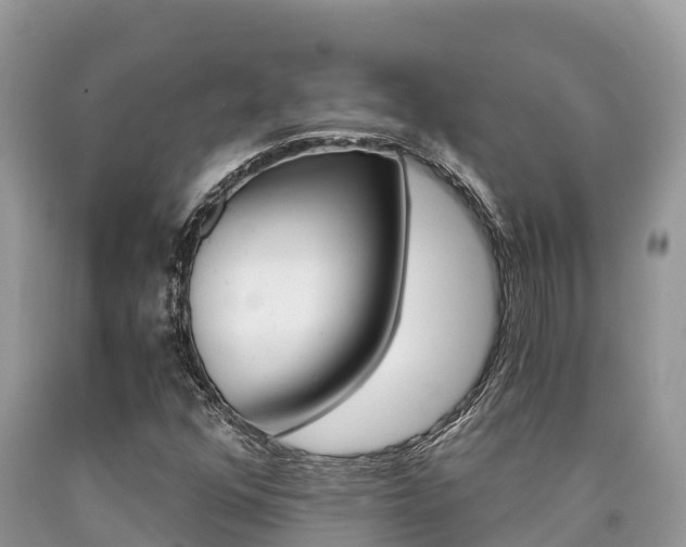 X0000090721352200707201005