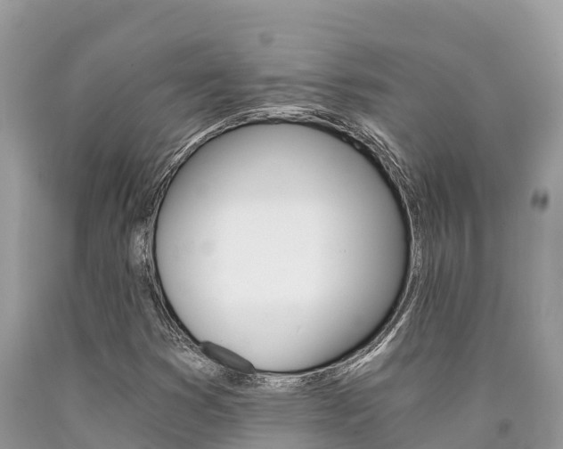 X0000090721353200707201004