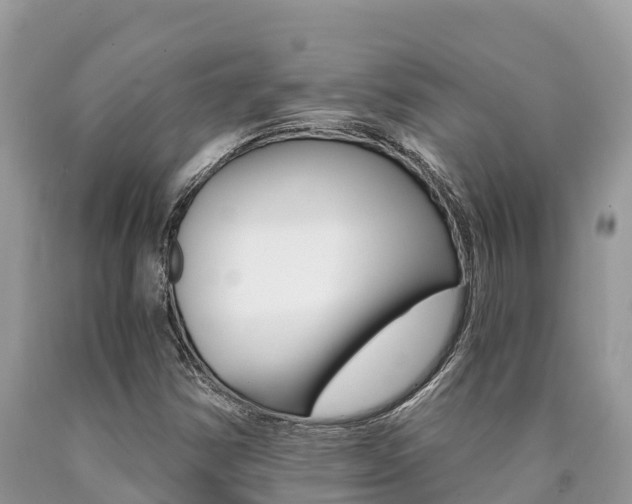 X0000090721354200707201004