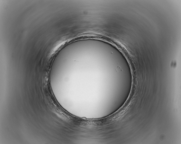X0000090721355200707201004