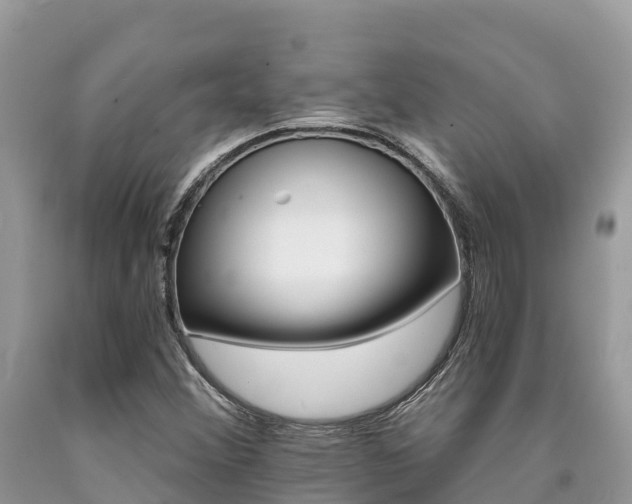 X0000090721356200707201004