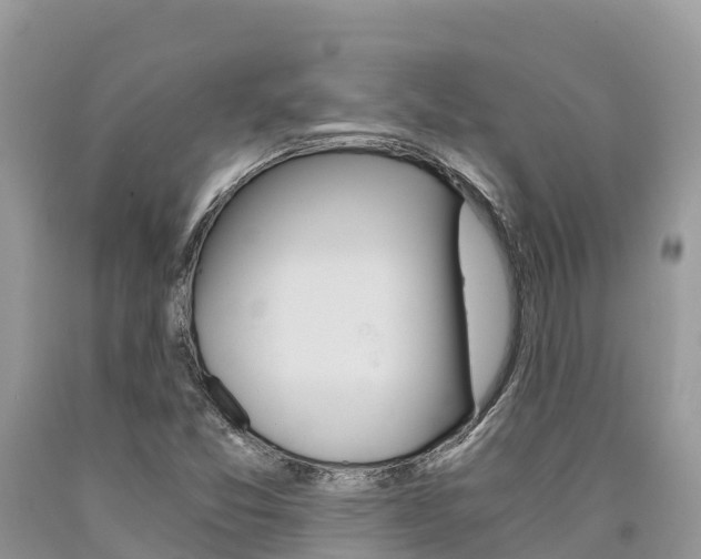 X0000090721357200707201004