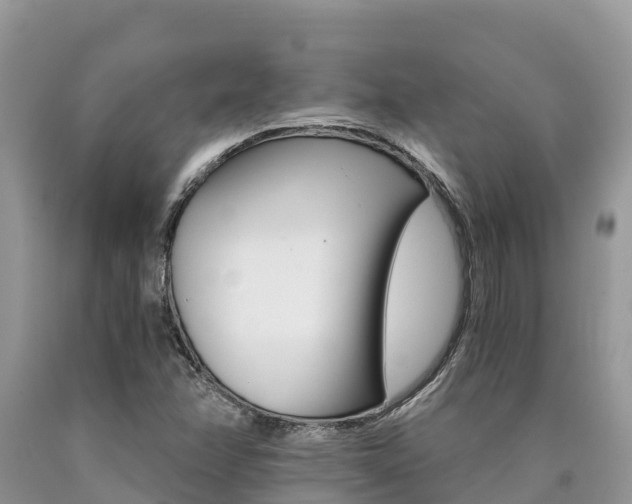 X0000090721358200707201004