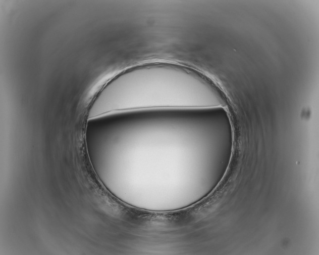 X0000090721359200707201004